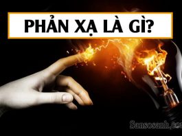 phan-xa-la-gi