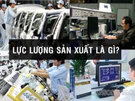 luc-luong-san-xuat-la-gi