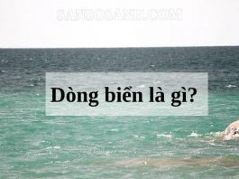 dong-bien-la-gi
