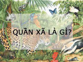quan-xa-la-gi