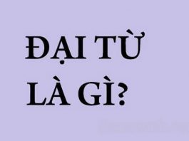 dai-tu-la-gi