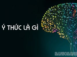 y-thuc-la-gi
