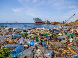 Rác thải nhựa ứ đọng tại một bến cảng ở Việt Nam